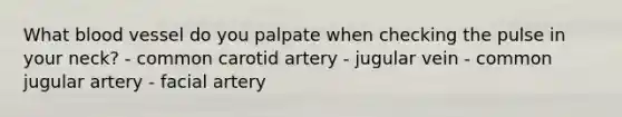 What blood vessel do you palpate when checking the pulse in your neck? - common carotid artery - jugular vein - common jugular artery - facial artery