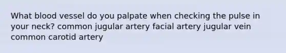 What blood vessel do you palpate when checking the pulse in your neck? common jugular artery facial artery jugular vein common carotid artery