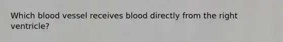 Which blood vessel receives blood directly from the right ventricle?