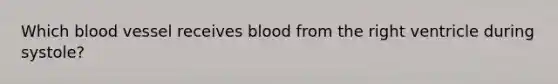 Which blood vessel receives blood from the right ventricle during systole?