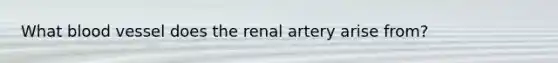 What blood vessel does the renal artery arise from?