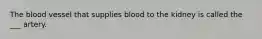 The blood vessel that supplies blood to the kidney is called the ___ artery.