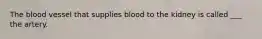 The blood vessel that supplies blood to the kidney is called ___ the artery.