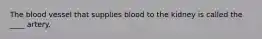 The blood vessel that supplies blood to the kidney is called the ____ artery.