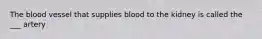 The blood vessel that supplies blood to the kidney is called the ___ artery