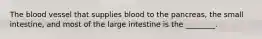 The blood vessel that supplies blood to the pancreas, the small intestine, and most of the large intestine is the ________.