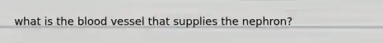 what is the blood vessel that supplies the nephron?