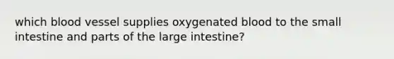 which blood vessel supplies oxygenated blood to the small intestine and parts of the large intestine?