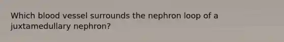 Which blood vessel surrounds the nephron loop of a juxtamedullary nephron?