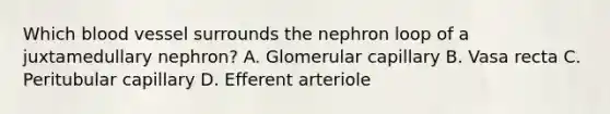 Which blood vessel surrounds the nephron loop of a juxtamedullary nephron? A. Glomerular capillary B. Vasa recta C. Peritubular capillary D. Efferent arteriole