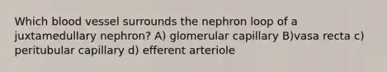 Which blood vessel surrounds the nephron loop of a juxtamedullary nephron? A) glomerular capillary B)vasa recta c) peritubular capillary d) efferent arteriole