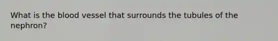 What is the blood vessel that surrounds the tubules of the nephron?