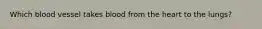 Which blood vessel takes blood from the heart to the lungs?