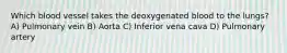 Which blood vessel takes the deoxygenated blood to the lungs? A) Pulmonary vein B) Aorta C) Inferior vena cava D) Pulmonary artery
