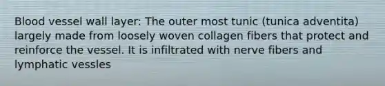 Blood vessel wall layer: The outer most tunic (tunica adventita) largely made from loosely woven collagen fibers that protect and reinforce the vessel. It is infiltrated with nerve fibers and lymphatic vessles