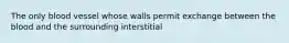 The only blood vessel whose walls permit exchange between the blood and the surrounding interstitial