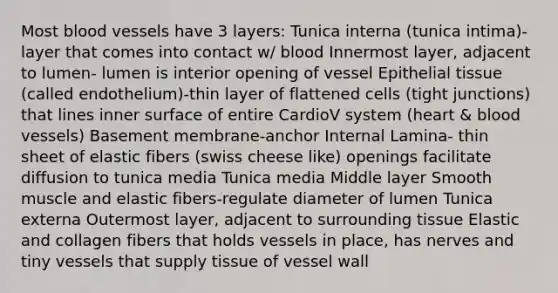 Most blood vessels have 3 layers: Tunica interna (tunica intima)-layer that comes into contact w/ blood Innermost layer, adjacent to lumen- lumen is interior opening of vessel Epithelial tissue (called endothelium)-thin layer of flattened cells (tight junctions) that lines inner surface of entire CardioV system (heart & blood vessels) Basement membrane-anchor Internal Lamina- thin sheet of elastic fibers (swiss cheese like) openings facilitate diffusion to tunica media Tunica media Middle layer Smooth muscle and elastic fibers-regulate diameter of lumen Tunica externa Outermost layer, adjacent to surrounding tissue Elastic and collagen fibers that holds vessels in place, has nerves and tiny vessels that supply tissue of vessel wall