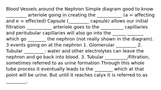 Blood Vessels around the Nephron Simple diagram good to know _________ arteriole going in creating the ___________ (a = affecting and e = effected) Capsule (_________ capsule) allows our initial filtration ___________ arteriole goes to the __________ capillaries and peritubular capillaries will also go into the ______ _______ which go ________ the nephron (not really shown in the diagram). 3 events going on at the nephron 1. Glomerular _________ 2. Tubular _________: water and other electrolytes can leave the nephron and go back into blood. 3. Tubular __________/filtration, sometimes referred to as urine formation Through this whole tube process it eventually leads to the ________ which at that point will be urine. But until it reaches calyx it is referred to as _________.