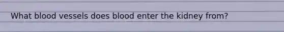 What blood vessels does blood enter the kidney from?