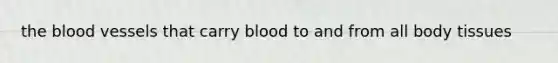 the blood vessels that carry blood to and from all body tissues