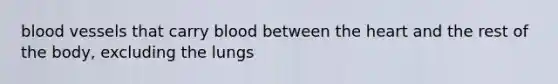 blood vessels that carry blood between the heart and the rest of the body, excluding the lungs