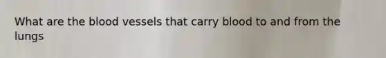 What are the blood vessels that carry blood to and from the lungs
