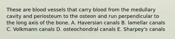 These are <a href='https://www.questionai.com/knowledge/kZJ3mNKN7P-blood-vessels' class='anchor-knowledge'>blood vessels</a> that carry blood from the medullary cavity and periosteum to the osteon and run perpendicular to the long axis of the bone. A. Haversian canals B. lamellar canals C. Volkmann canals D. osteochondral canals E. Sharpey's canals