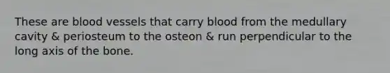 These are <a href='https://www.questionai.com/knowledge/kZJ3mNKN7P-blood-vessels' class='anchor-knowledge'>blood vessels</a> that carry blood from the medullary cavity & periosteum to the osteon & run perpendicular to the long axis of the bone.