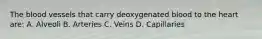 The blood vessels that carry deoxygenated blood to the heart are: A. Alveoli B. Arteries C. Veins D. Capillaries