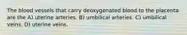 The blood vessels that carry deoxygenated blood to the placenta are the A) uterine arteries. B) umbilical arteries. C) umbilical veins. D) uterine veins.