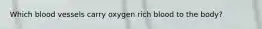 Which blood vessels carry oxygen rich blood to the body?