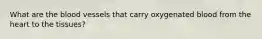 What are the blood vessels that carry oxygenated blood from the heart to the tissues?