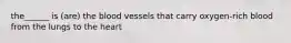 the______ is (are) the blood vessels that carry oxygen-rich blood from the lungs to the heart