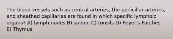 The blood vessels such as central arteries, the penicillar arteries, and sheathed capillaries are found in which specific lymphoid organs? A) lymph nodes B) spleen C) tonsils D) Peyer's Patches E) Thymus