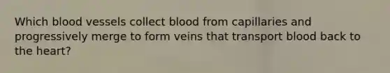 Which blood vessels collect blood from capillaries and progressively merge to form veins that transport blood back to the heart?