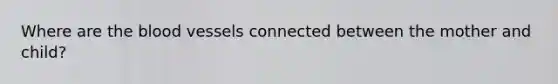 Where are the blood vessels connected between the mother and child?