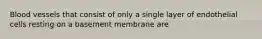 Blood vessels that consist of only a single layer of endothelial cells resting on a basement membrane are