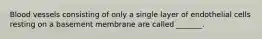 Blood vessels consisting of only a single layer of endothelial cells resting on a basement membrane are called _______.