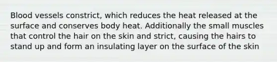 Blood vessels constrict, which reduces the heat released at the surface and conserves body heat. Additionally the small muscles that control the hair on the skin and strict, causing the hairs to stand up and form an insulating layer on the surface of the skin