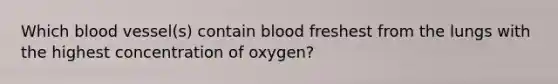 Which blood vessel(s) contain blood freshest from the lungs with the highest concentration of oxygen?