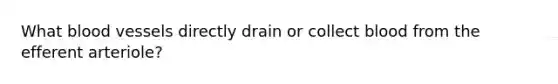 What blood vessels directly drain or collect blood from the efferent arteriole?