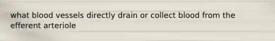 what <a href='https://www.questionai.com/knowledge/kZJ3mNKN7P-blood-vessels' class='anchor-knowledge'>blood vessels</a> directly drain or collect blood from the efferent arteriole