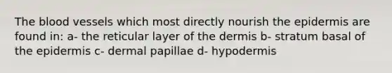 The blood vessels which most directly nourish the epidermis are found in: a- the reticular layer of the dermis b- stratum basal of the epidermis c- dermal papillae d- hypodermis