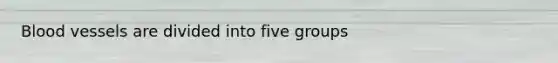 <a href='https://www.questionai.com/knowledge/kZJ3mNKN7P-blood-vessels' class='anchor-knowledge'>blood vessels</a> are divided into five groups
