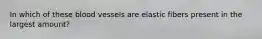 In which of these blood vessels are elastic fibers present in the largest amount?