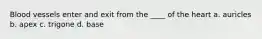 Blood vessels enter and exit from the ____ of the heart a. auricles b. apex c. trigone d. base