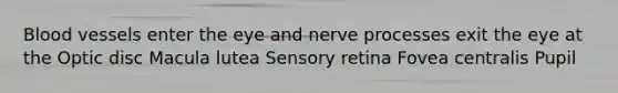 Blood vessels enter the eye and nerve processes exit the eye at the Optic disc Macula lutea Sensory retina Fovea centralis Pupil