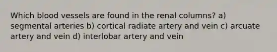 Which blood vessels are found in the renal columns? a) segmental arteries b) cortical radiate artery and vein c) arcuate artery and vein d) interlobar artery and vein