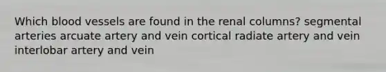 Which <a href='https://www.questionai.com/knowledge/kZJ3mNKN7P-blood-vessels' class='anchor-knowledge'>blood vessels</a> are found in the renal columns? segmental arteries arcuate artery and vein cortical radiate artery and vein interlobar artery and vein