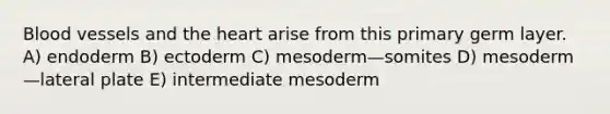 Blood vessels and the heart arise from this primary germ layer. A) endoderm B) ectoderm C) mesoderm—somites D) mesoderm—lateral plate E) intermediate mesoderm